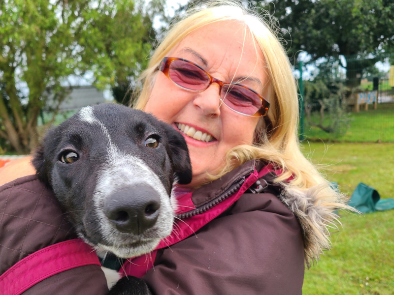 Collie cross dog with blonde haired lady.