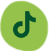 Tiktok icon