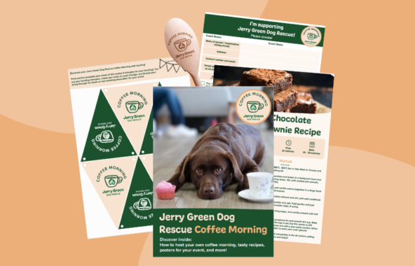 Collage of pages from the Jerry Green Dog Rescue coffee morning fundraising pack, including a front ocver with a brown labrador on.