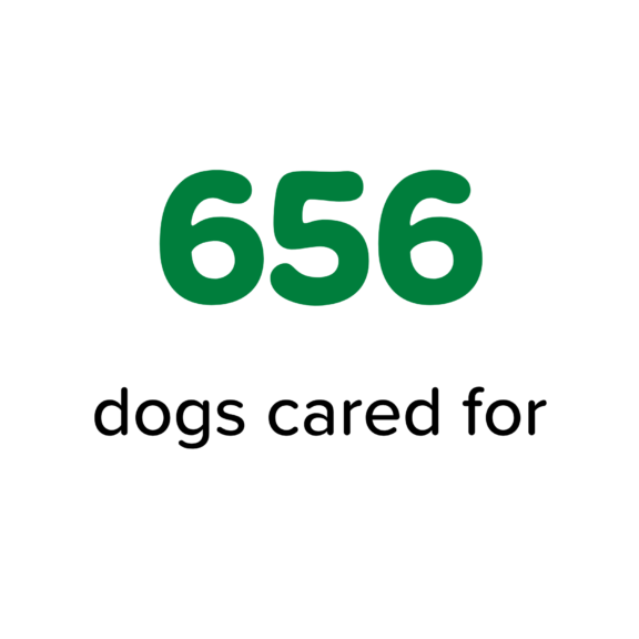 656 dogs cared for graphic