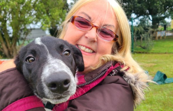 Collie cross dog with blonde haired lady.