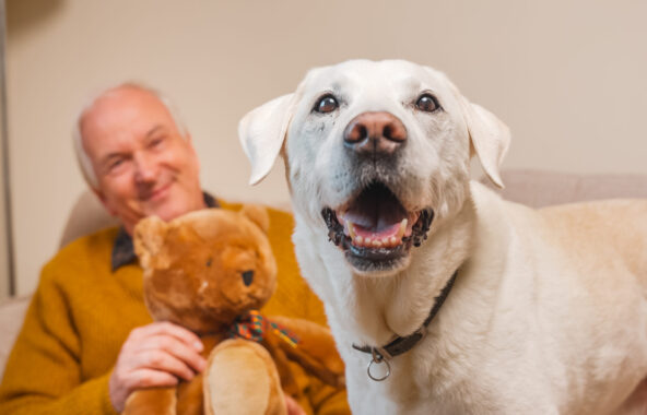 Man with white hair smiling wearing mustard colour jumper holding a teddy bear in background with white Labrador in foreground in a relaxed stance with mouth open looking happy
