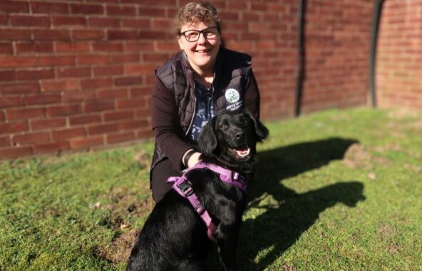 Woman kneeling on a lawn with a black spaniel wearing a lilac harness.