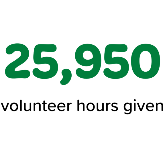 25,950 volunteer hours given graphic