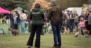 A man and woman stood in front of a field of dogs at an event. The woman is wearing a volunteer jumper.