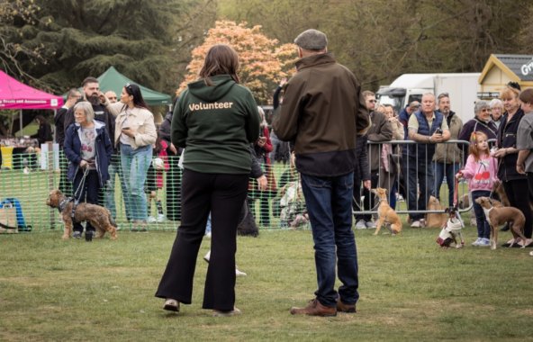 A man and woman stood in front of a field of dogs at an event. The woman is wearing a volunteer jumper.