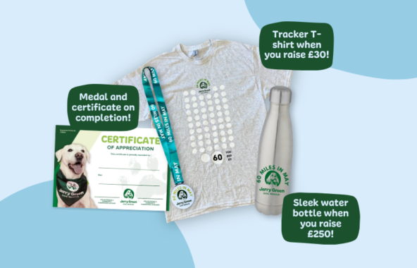 Jerry Green Dog Rescue certificate, medal, t-shirt and water bottle.