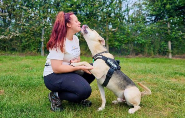 Fundraiser Beth crouched with rescued dog from Jerry Green Dog Rescue. The dog is trying to lick Beth's face in a field on their walk.