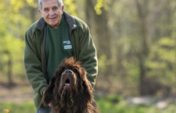 Older gentleman Jerry Green Dog Rescue volunteer with large with extra large brown fluffy dog