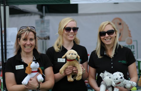 Three young ladies, two with blonde hair, one with brown, holding soft dog toys and wearing dark green t-shirts.