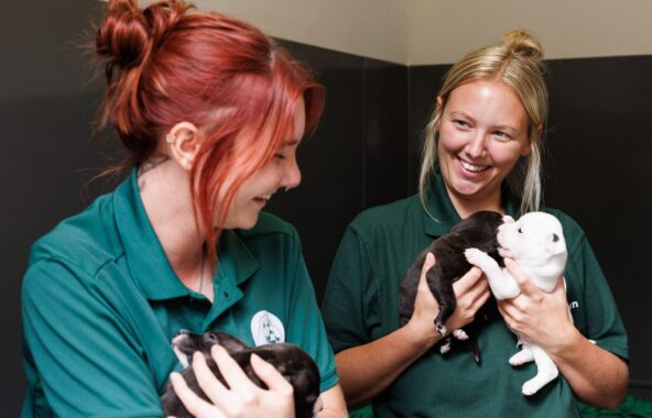 Two young females, one with red hair, one with blonde hair both tied up wearing Jerry Green Dog Rescue green t-shirts holding black and white Staffordshire Bull Terrier puppies