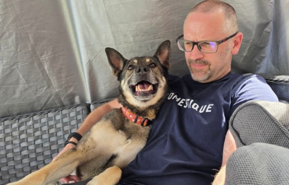Harper, a German Shepherd Cross, sitting with her foster carer and smiling.