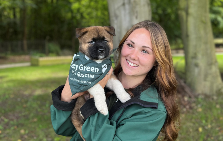 Young woman holding a puppy wearing a green bandana.
