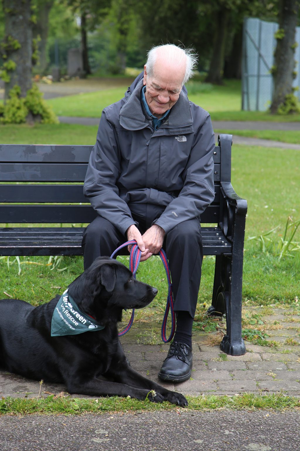 Dog with owner
