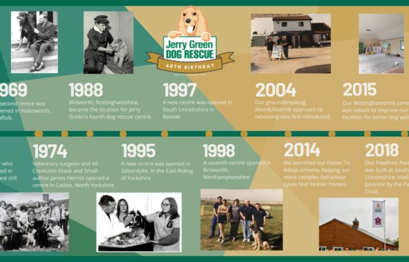 Jerry Green Dog Rescue 60th Anniversary Timeline