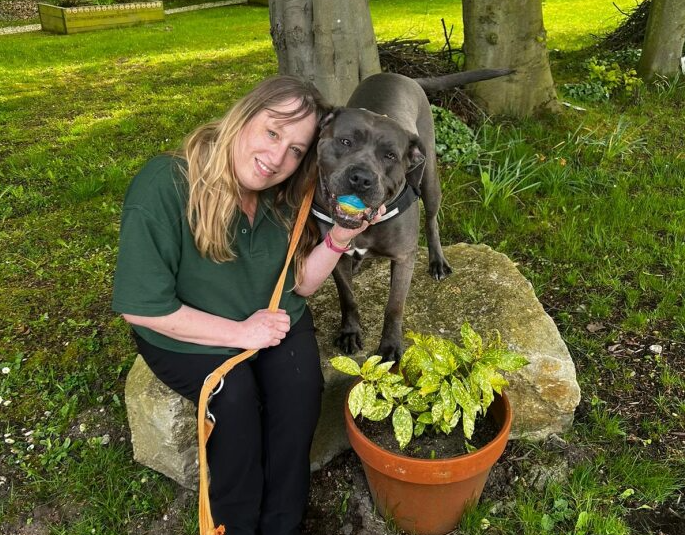 Young lady with blonde hair with large black dog with a coloured ball in its mouth.