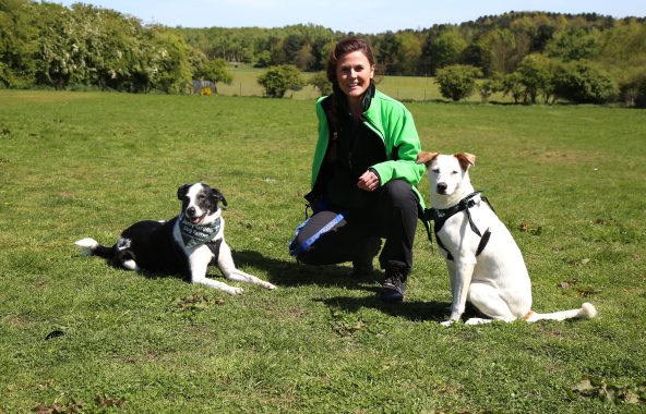 Young lady kneeling in paddock with two dogs, one white and one black and white.