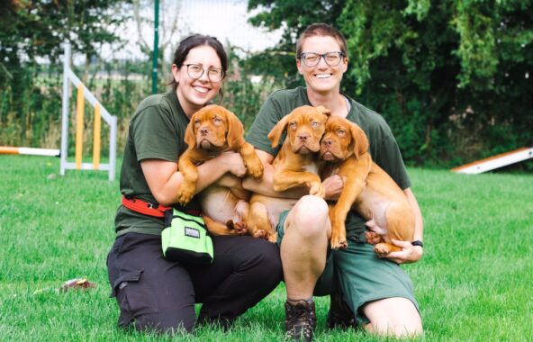 Two females in green clothing holding three Dog de Bordeaux puppies