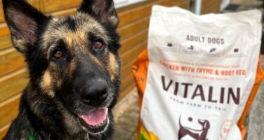 Image of a rescued German Shepherd looking happy sat next to a bag of Vitalin dog food