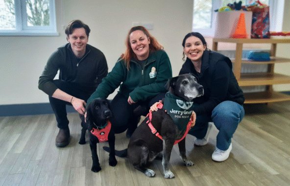 Group of three people smiling at the camera with a black spaniel and a black staffie cross both dogs wearing red harnesses.