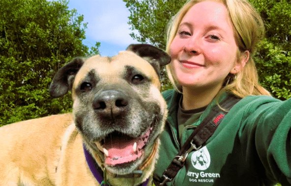 Black and tan crossbreed dog with blonde haired girl wearing a green hoodie.