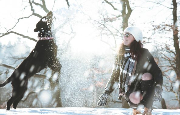 An action shot of a black Labrador type dog in mid-air catching a snowball thrown by a woman in the shot who is wearing winter outerwear in a snowy woodland setting