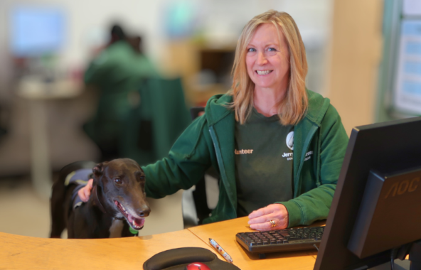 Jerry Green Dog Rescue admin volunteer sat at a desk with a black greyhound called Patrick.